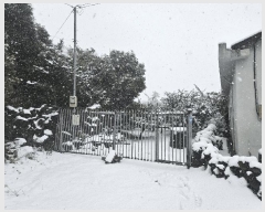  2025Ÿ565    긮 1087      ()