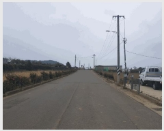  2025Ÿ��831 ���� �������� ������ �ŵ��� 2176      �ܵ�����,�����ð��