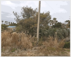  2025Ÿ��896  �Ӿ߰��