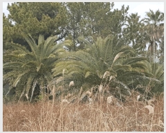  2025Ÿ��896  �Ӿ߰��