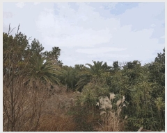  2025Ÿ��896  �Ӿ߰��