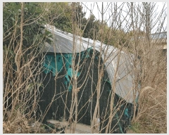  2025Ÿ��896  �Ӿ߰��