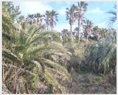  2025Ÿ��896  �Ӿ߰��