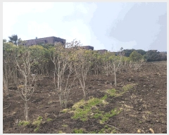  2025Ÿ905    긮 3042-1      (Ӿ)