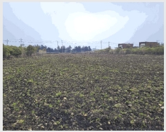  2025Ÿ905    긮 3042-1      (Ӿ)