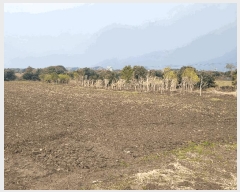  2025Ÿ905    긮 3042-1      (Ӿ)