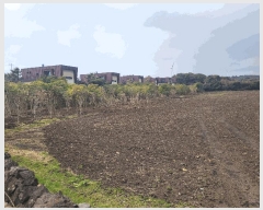  2025Ÿ905    긮 3042-1      (Ӿ)