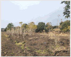  2025Ÿ905    긮 3042-1      (Ӿ)