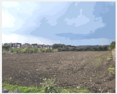  2025Ÿ905    긮 3042-1      (Ӿ)