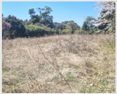  2025Ÿ924   ǥ  1476-1      (1)