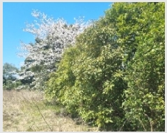  2025Ÿ924   ǥ  1476-1      (1)