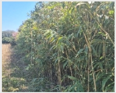  2025Ÿ924   ǥ  1476-1      (1)