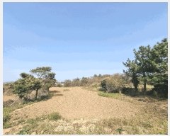  2025Ÿ��1015  �����