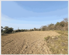  2025Ÿ��1015  �����