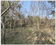  2025Ÿ��1015  �����