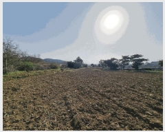  2025Ÿ��1015  �����