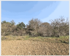  2025Ÿ��1015  �����