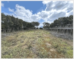  2025Ÿ1023     1526-4      (1)