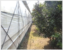  2025Ÿ1023     1526-4      (1)