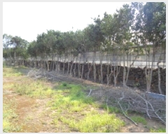  2025Ÿ1023     1526-4      (1)