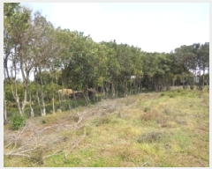  2025Ÿ1023     1526-4      (1)