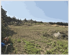  2025Ÿ1032  ֽ Ѱ  3018-2      (1)