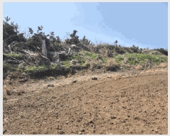  2025Ÿ1032  ֽ Ѱ  3018-2      (1)