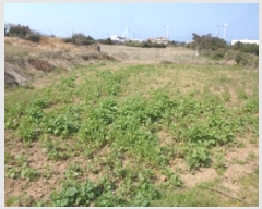  2025Ÿ1032  ֽ Ѱ  3018-2      (1)