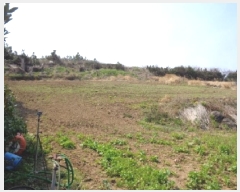  2025Ÿ1032  ֽ Ѱ  3018-2      (1)