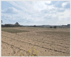  2025Ÿ1067  ֽ   1172-8      (1)