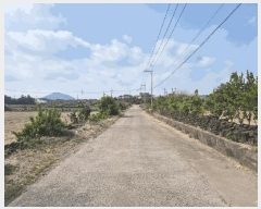  2025Ÿ1067  ֽ   1172-8      (1)