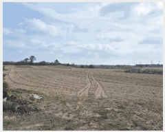  2025Ÿ1067  ֽ   1172-8      (1)