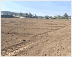  2025Ÿ1086  ֽ  ȭ 2778-2      (Ӿ)