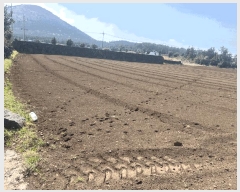  2025Ÿ1086  ֽ  ȭ 2778-2      (Ӿ)