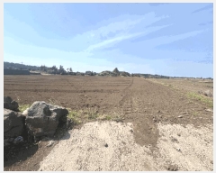  2025Ÿ1086  ֽ  ȭ 2778-2      (Ӿ)