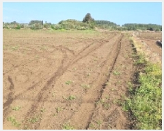  2025Ÿ1086  ֽ  ȭ 2778-2      (Ӿ)