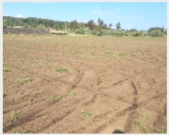  2025Ÿ1086  ֽ  ȭ 2778-2      (Ӿ)