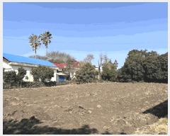  2025Ÿ1095    긮 1225      ()