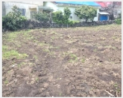  2025Ÿ1095    긮 1225      ()