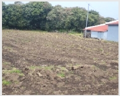  2025Ÿ1095    긮 1225      ()