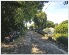  2025Ÿ��1143 ���� ���ֽ� �ֿ��� ������ 1453-4      ���ð��