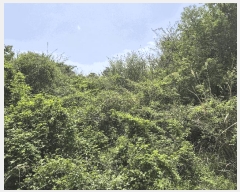  2025Ÿ��1159 ���� ���ֽ� ������ ������ ��29-5      ����(�Ӿ�)���