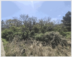  2025Ÿ��1159 ���� ���ֽ� ������ ������ ��29-5      ����(�Ӿ�)���