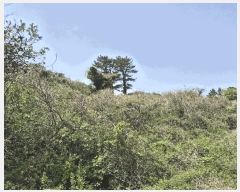  2025Ÿ��1159 ���� ���ֽ� ������ ������ ��29-5      ����(�Ӿ�)���