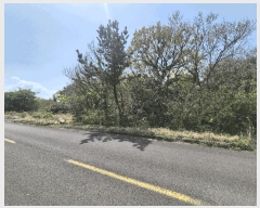  2025Ÿ��1159 ���� ���ֽ� ������ ������ ��29-5      ����(�Ӿ�)���