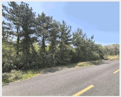  2025Ÿ��1159 ���� ���ֽ� ������ ������ ��29-5      ����(�Ӿ�)���