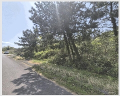  2025Ÿ��1159 ���� ���ֽ� ������ ������ ��29-5      ����(�Ӿ�)���