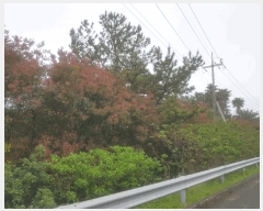  2025Ÿ��1167 ���� �������� ������ ���︮ 94-4      ����(��1)���