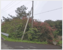  2025Ÿ��1167 ���� �������� ������ ���︮ 94-4      ����(��1)���