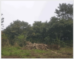  2025Ÿ��1167 ���� �������� ������ ���︮ 94-4      ����(��1)���